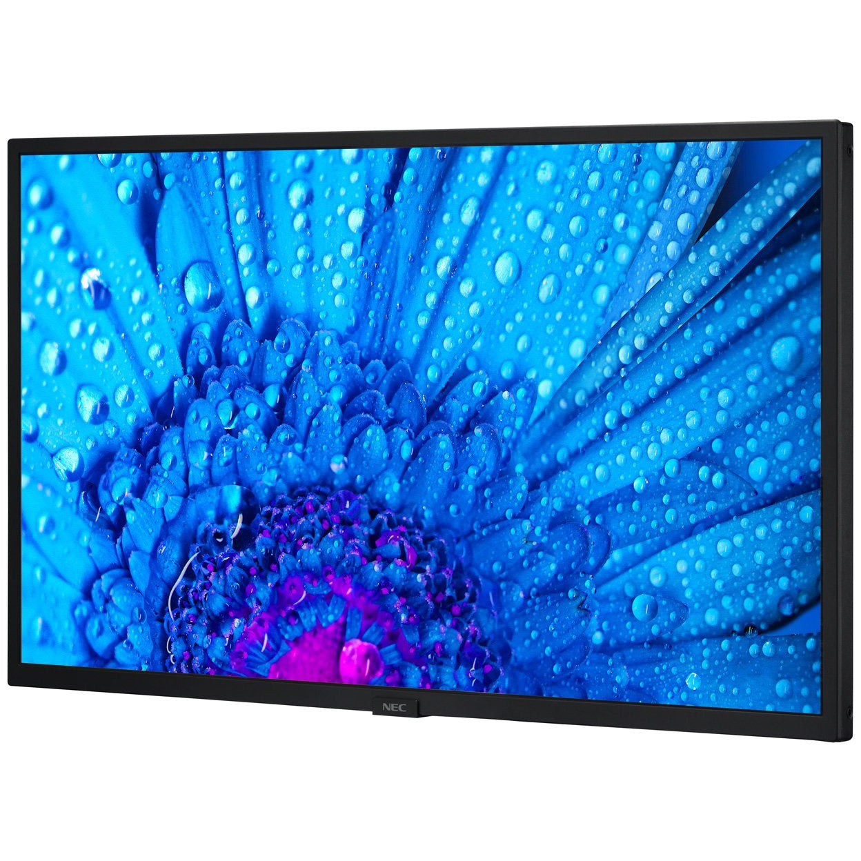 Dodger Blue NEC MultiSync® M321 LCD 32" Message Large Format Display