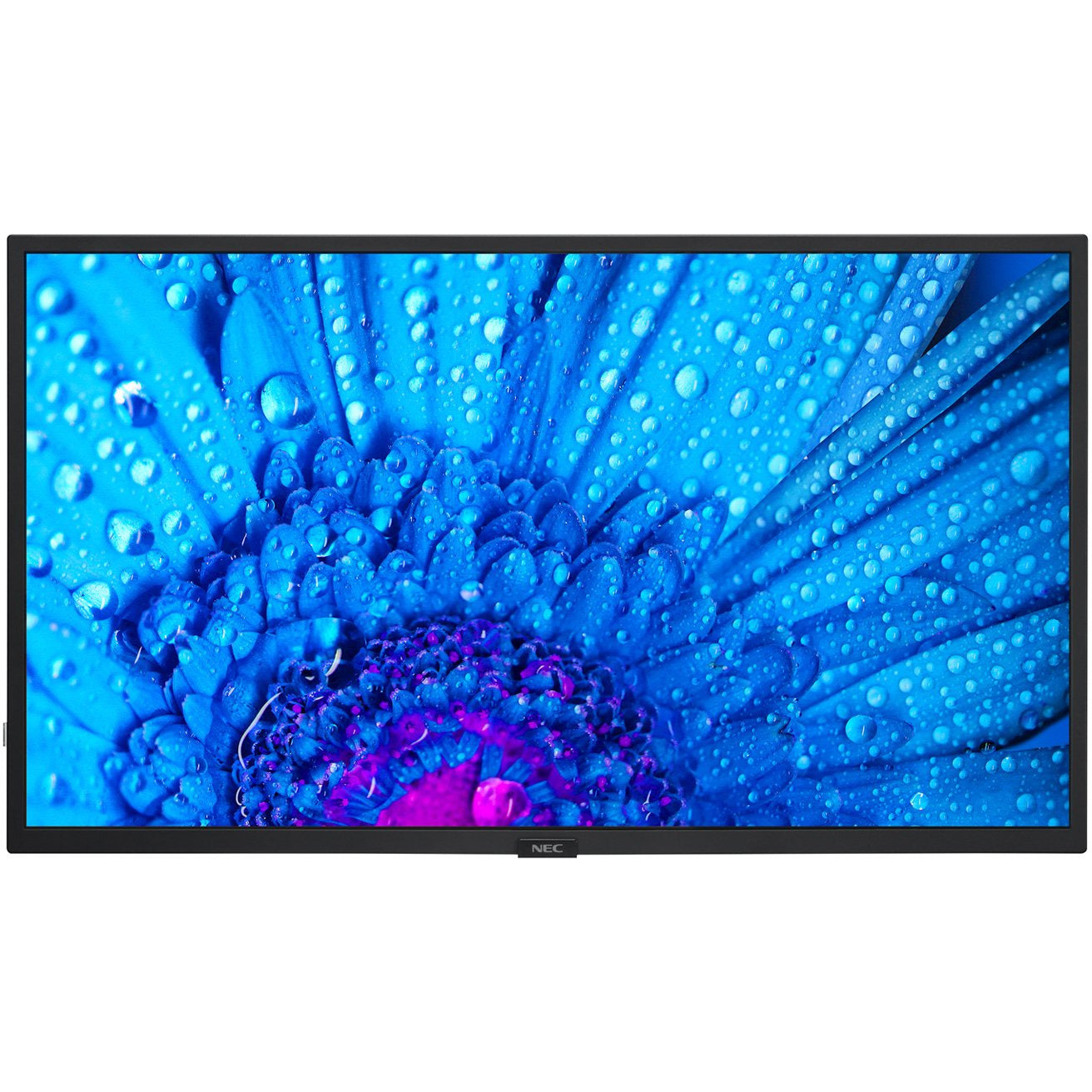 Dodger Blue NEC MultiSync® M321 LCD 32" Message Large Format Display
