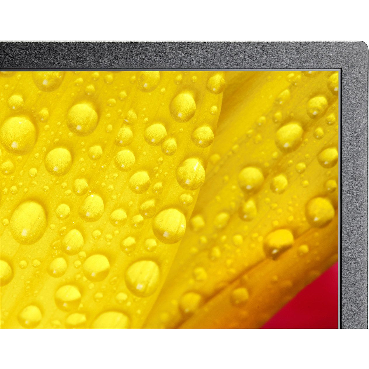 Gold NEC MultiSync® ME431 LCD 43" Message Essential Large Format Display