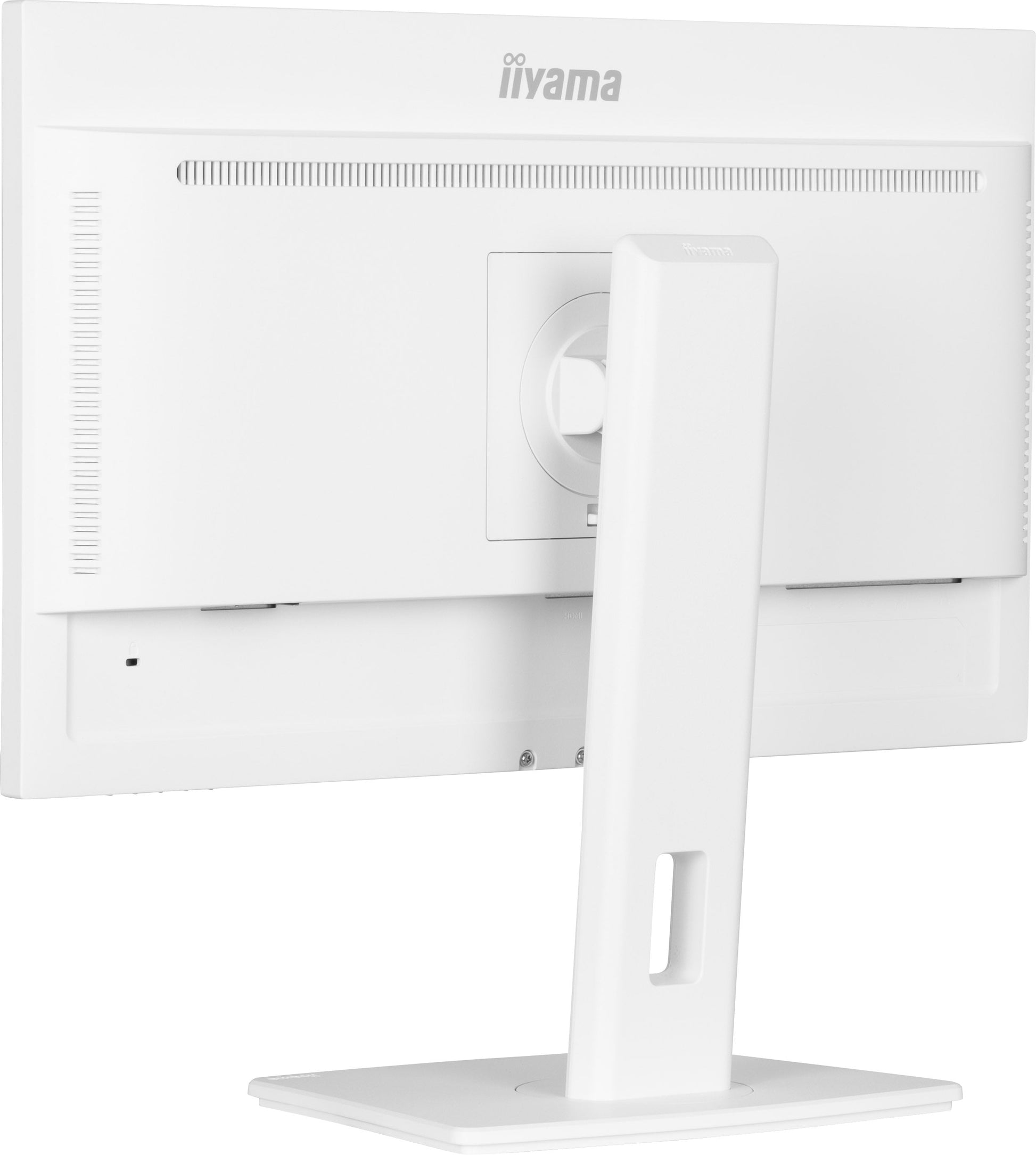 Lavender iiyama ProLite XUB2497HSN-W2 24" Full HD LED Desktop Monitor with USB-C Hub & RJ45 Port