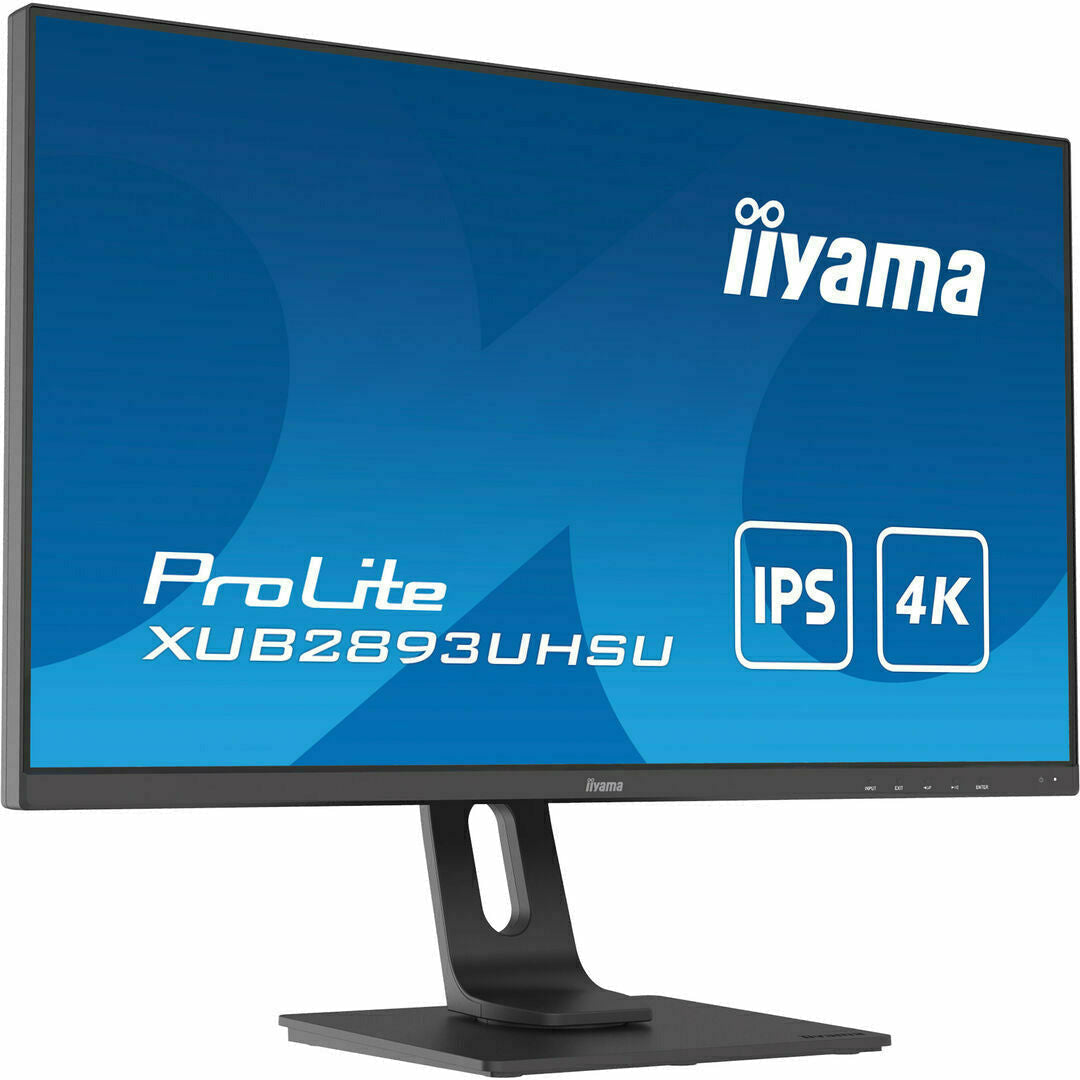 Dark Cyan iiyama ProLite XUB2893UHSU-B1 28" IPS 4K Monitor