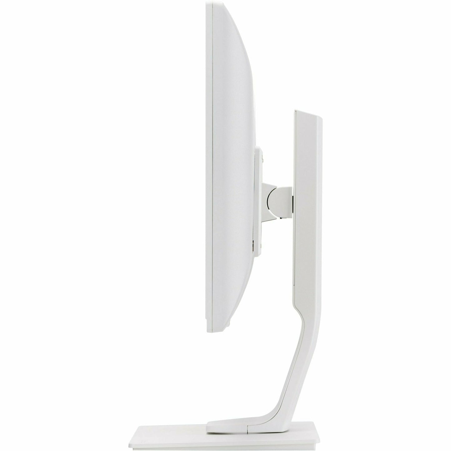 Light Gray iiyama ProLite B1980D-W1 19" TN LED-backlit Monitor