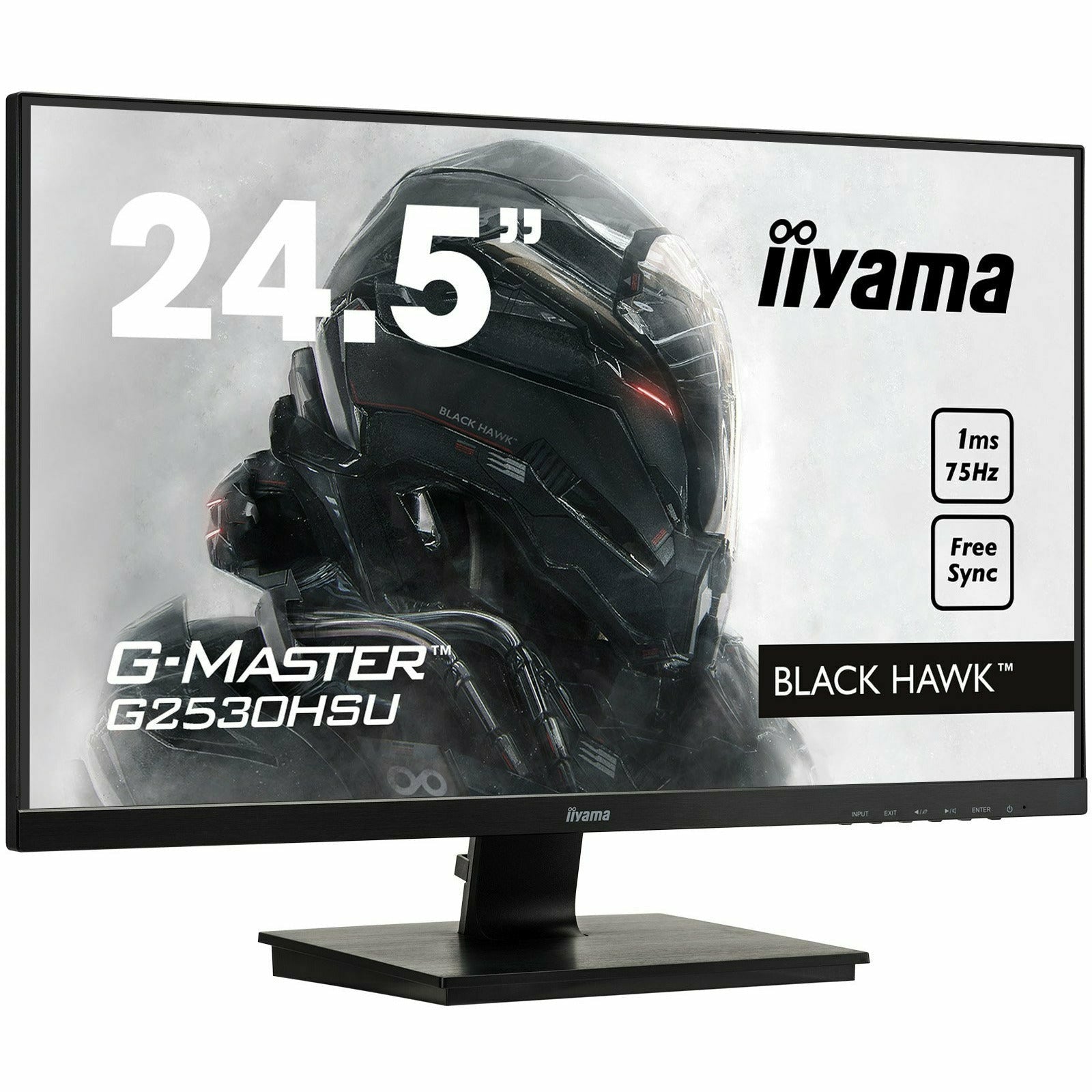 Light Gray iiyama G-Master G2530HSU-B1 25" Black Hawk Gaming Monitor