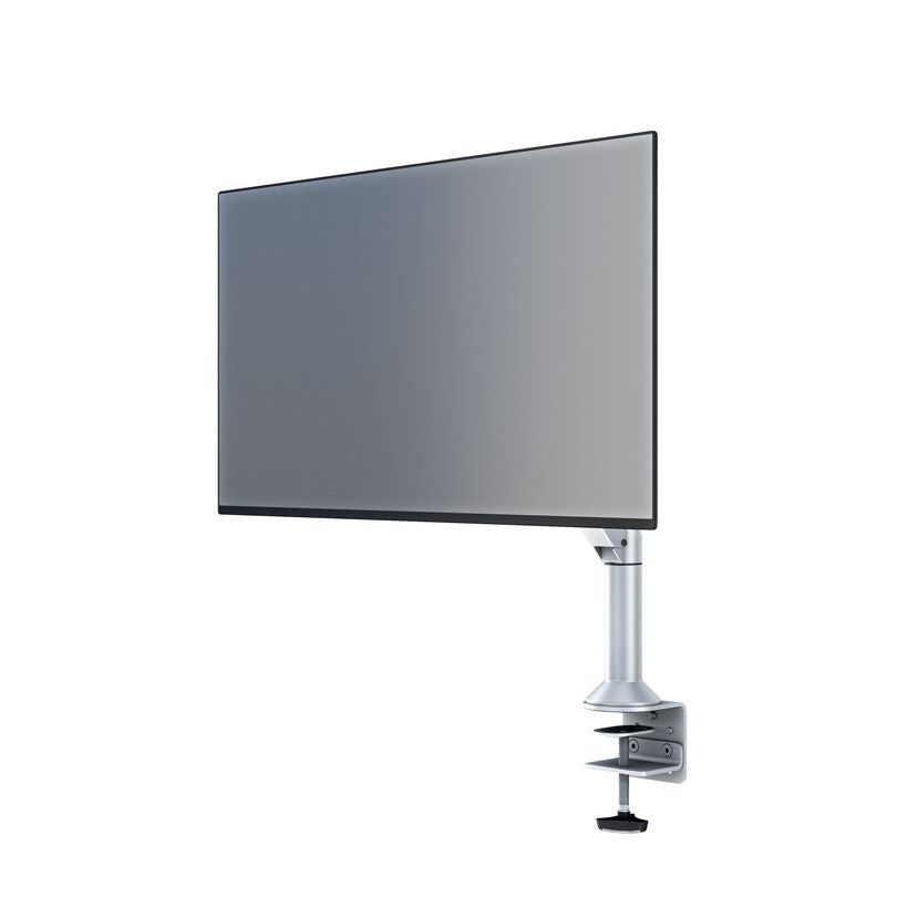 Light Slate Gray Multibrackets M VESA Gas Lift Arm Desk or Wall Basic Silver