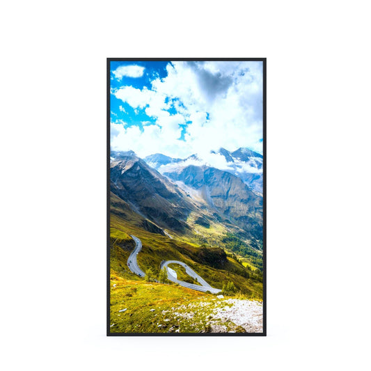 Lavender Hisense WFE Series 49WF25E 2500 NITS 49" Window Facing Digital Signage Display