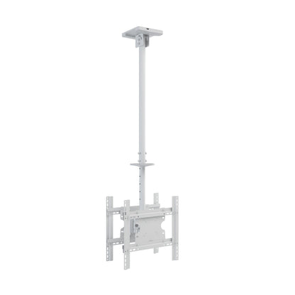 Light Gray Multibrackets M Public Ceilingmount Medium Back to Back White 3000