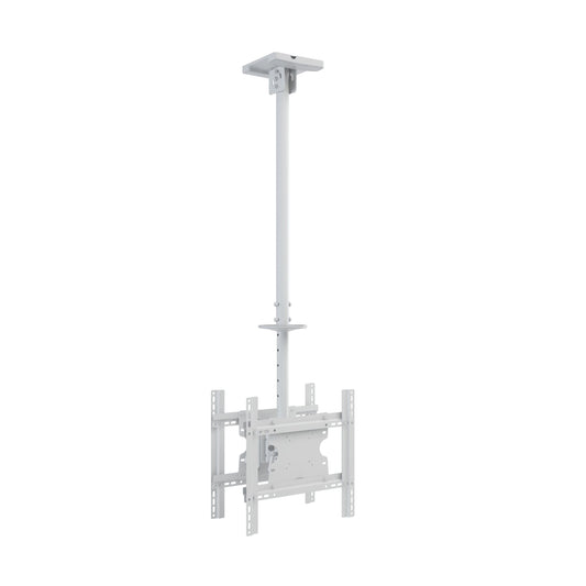 Light Gray Multibrackets M Public Ceilingmount Medium Back to Back White 3000