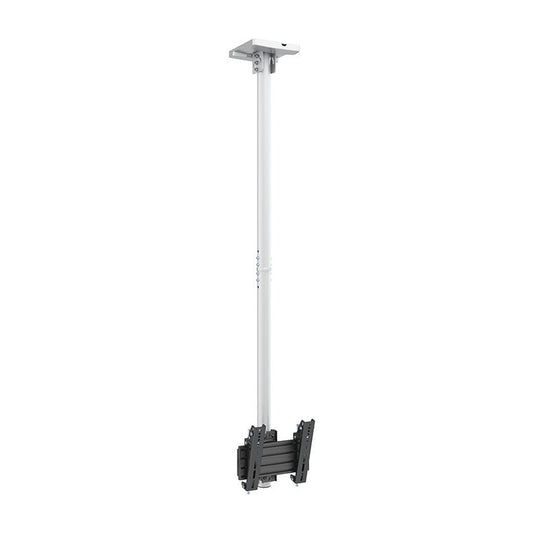 Dark Slate Gray Multibrackets M Ceiling Mount Pro MBC1U White VESA 200
