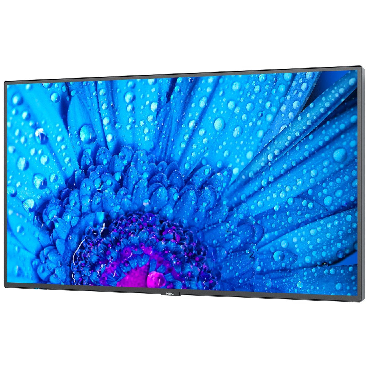 Dodger Blue NEC MultiSync® M651 LCD 65" Message Large Format Display