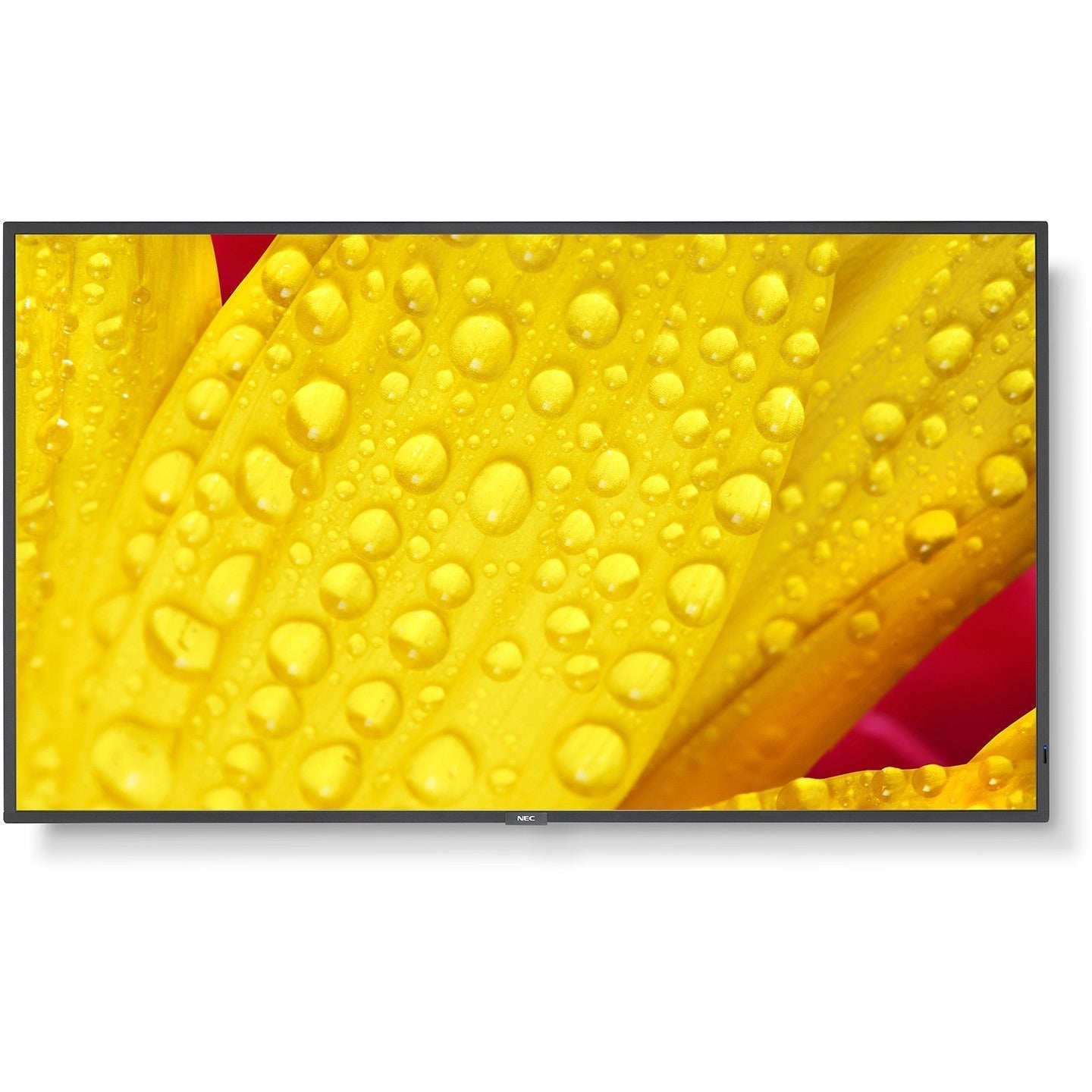 Gold NEC MultiSync® ME501 LCD 50" Message Essential Large Format Display