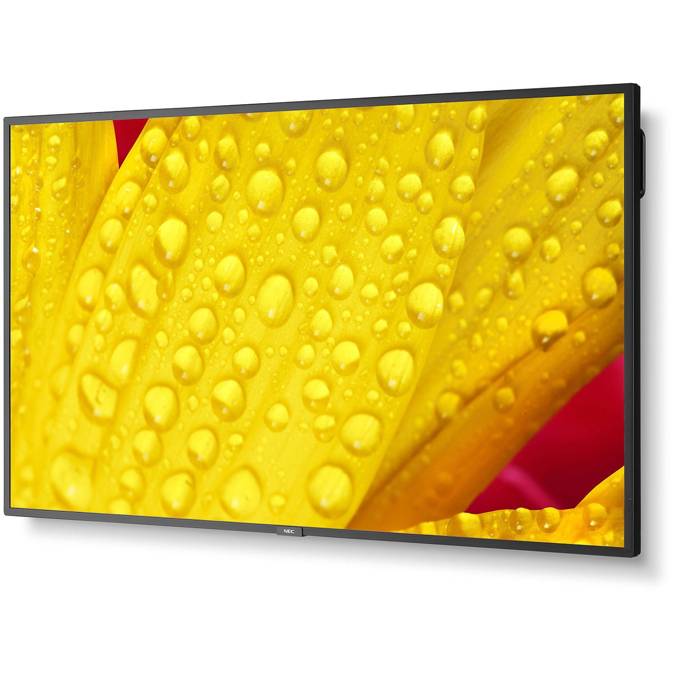Gold NEC MultiSync® ME551 LCD 55" Message Essential Large Format Display