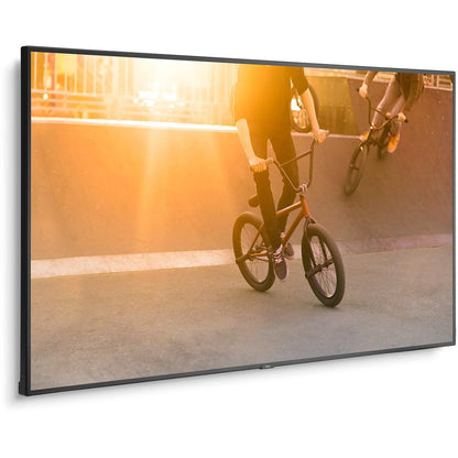Dark Khaki NEC MultiSync® P754Q LCD 75" Professional Large Format Display