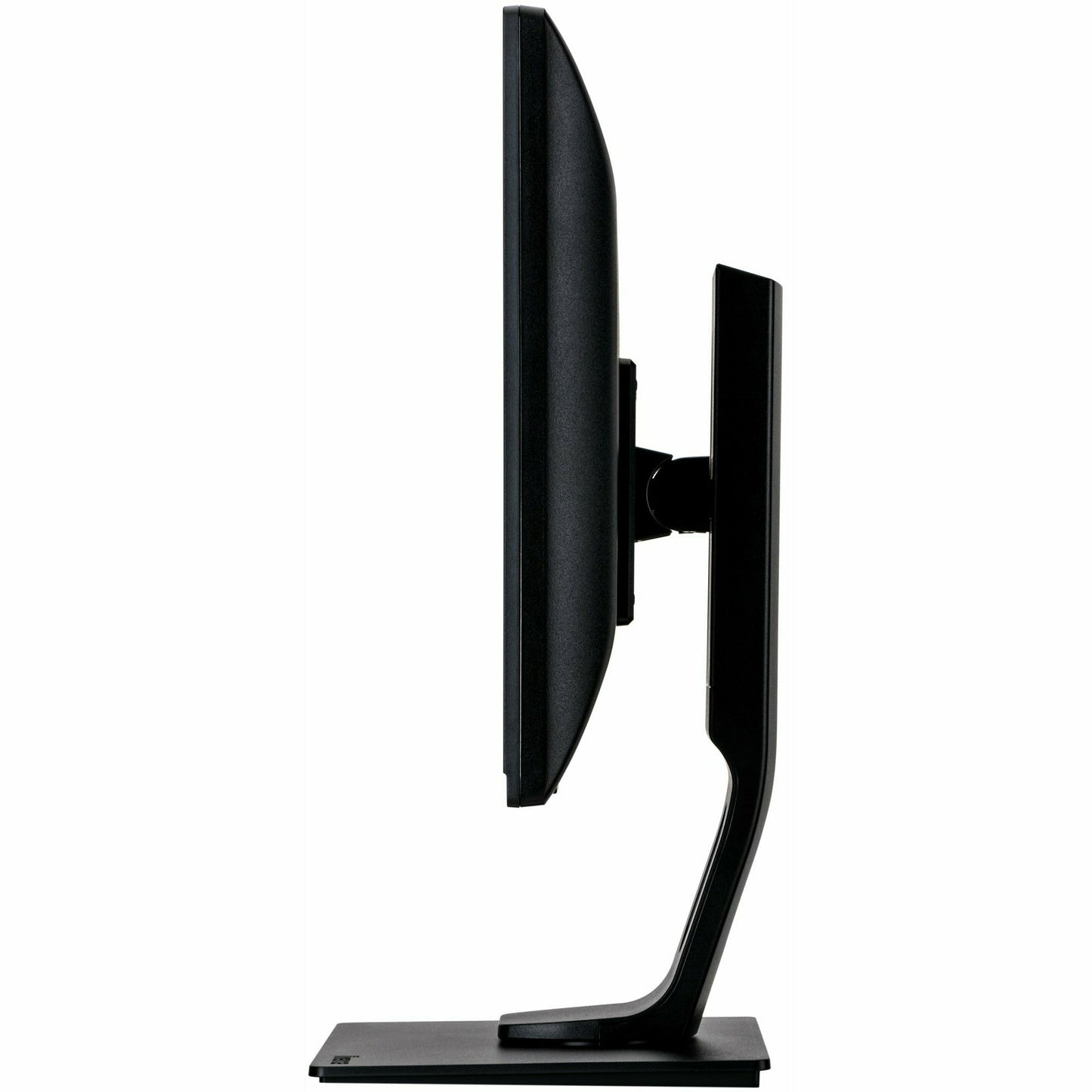 Black iiyama ProLite B1980D-B1 19" TN LED-backlit Monitor