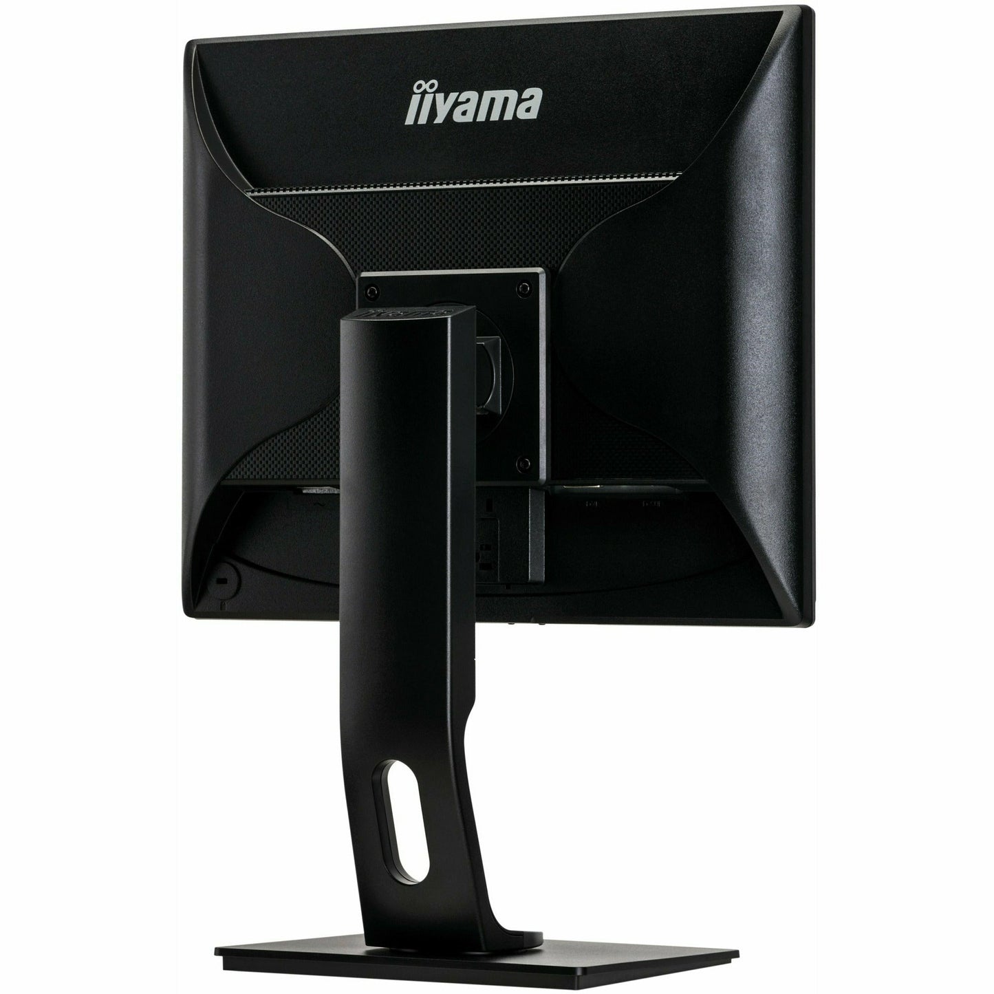 Black iiyama ProLite B1980D-B1 19" TN LED-backlit Monitor