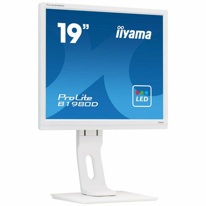 Lavender iiyama ProLite B1980D-W1 19" TN LED-backlit Monitor