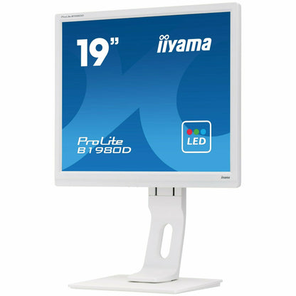 Light Gray iiyama ProLite B1980D-W1 19" TN LED-backlit Monitor